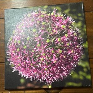 Beautiful, original photo on canvas - ready to hang!